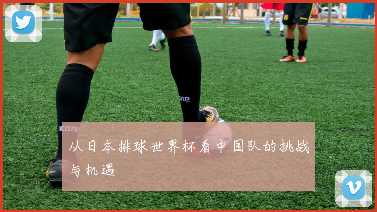 从日本排球世界杯看中国队的挑战与机遇