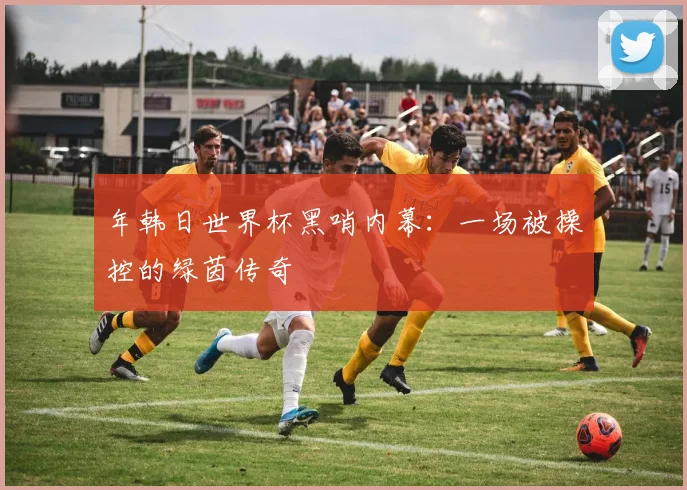 年韩日世界杯黑哨内幕:一场被操控的绿茵传奇
