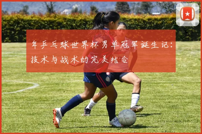 年乒乓球世界杯男单冠军诞生记:技术与战术的完美结合